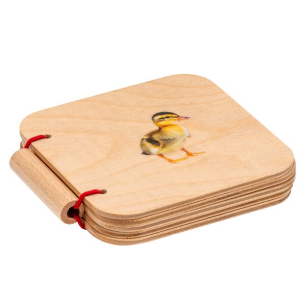 Esimene pildiraamat loomadega. Nienhuis Montessori